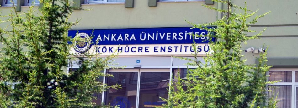 Kok Hucre Enstitusu Ankara Universitesi
